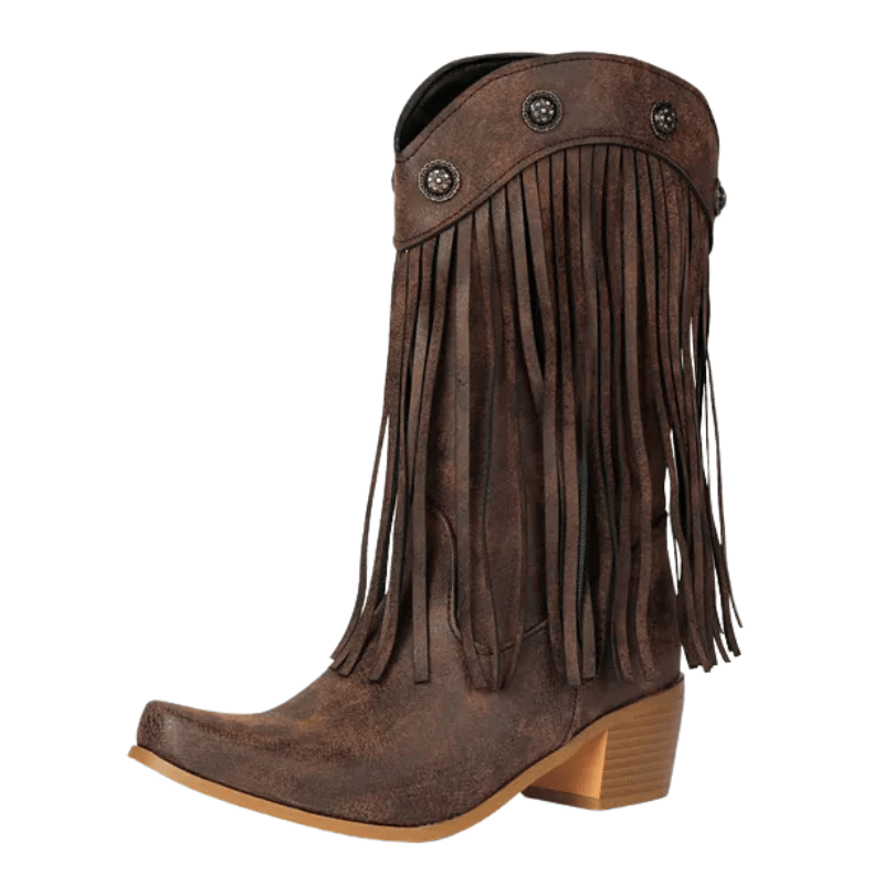 Cowboyboots med fransar och nitar i västernstil Brun / 35